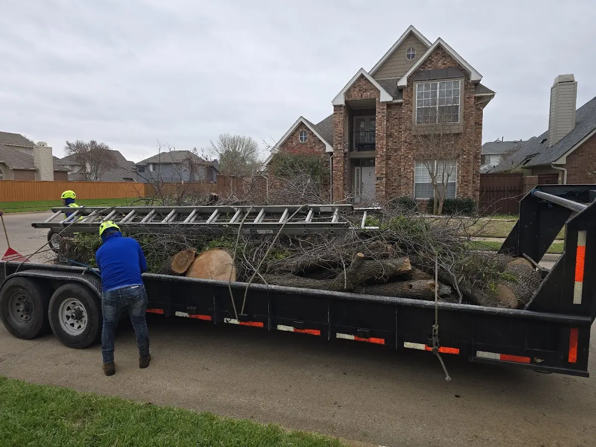 Expert Tree Pest Control with proper safety equipment in Rectortown